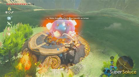 village piaf zelda|la chanson des piafs zelda.